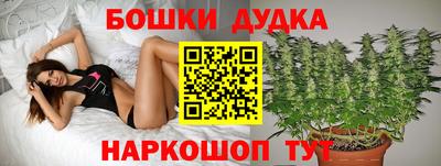 ALPHA PVP Кимры