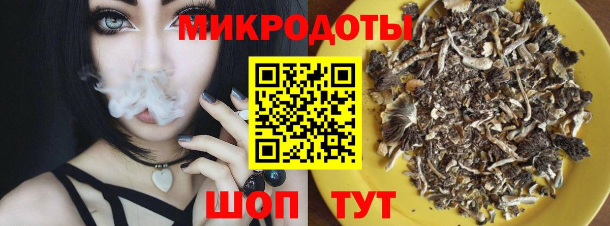 Псилоцибиновые грибы мицелий Жигулёвск